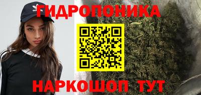 сатива Нальчик