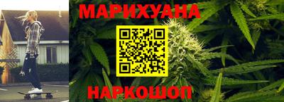 сатива Нальчик