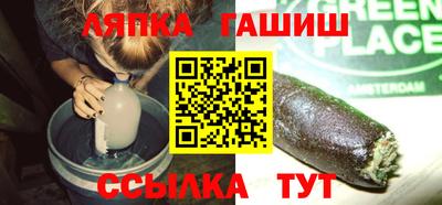 сатива Нальчик